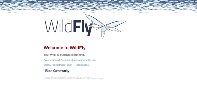 Page 3 - Welcome to WildFly