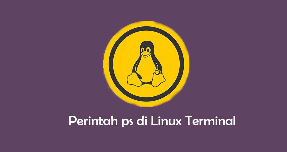 Pts linux что это