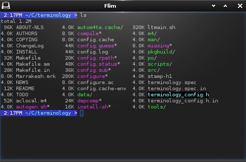 Cache configuration. Терминал линукс. Terminology Terminal. Эмулятор терминала Linux. Terminus Linux.